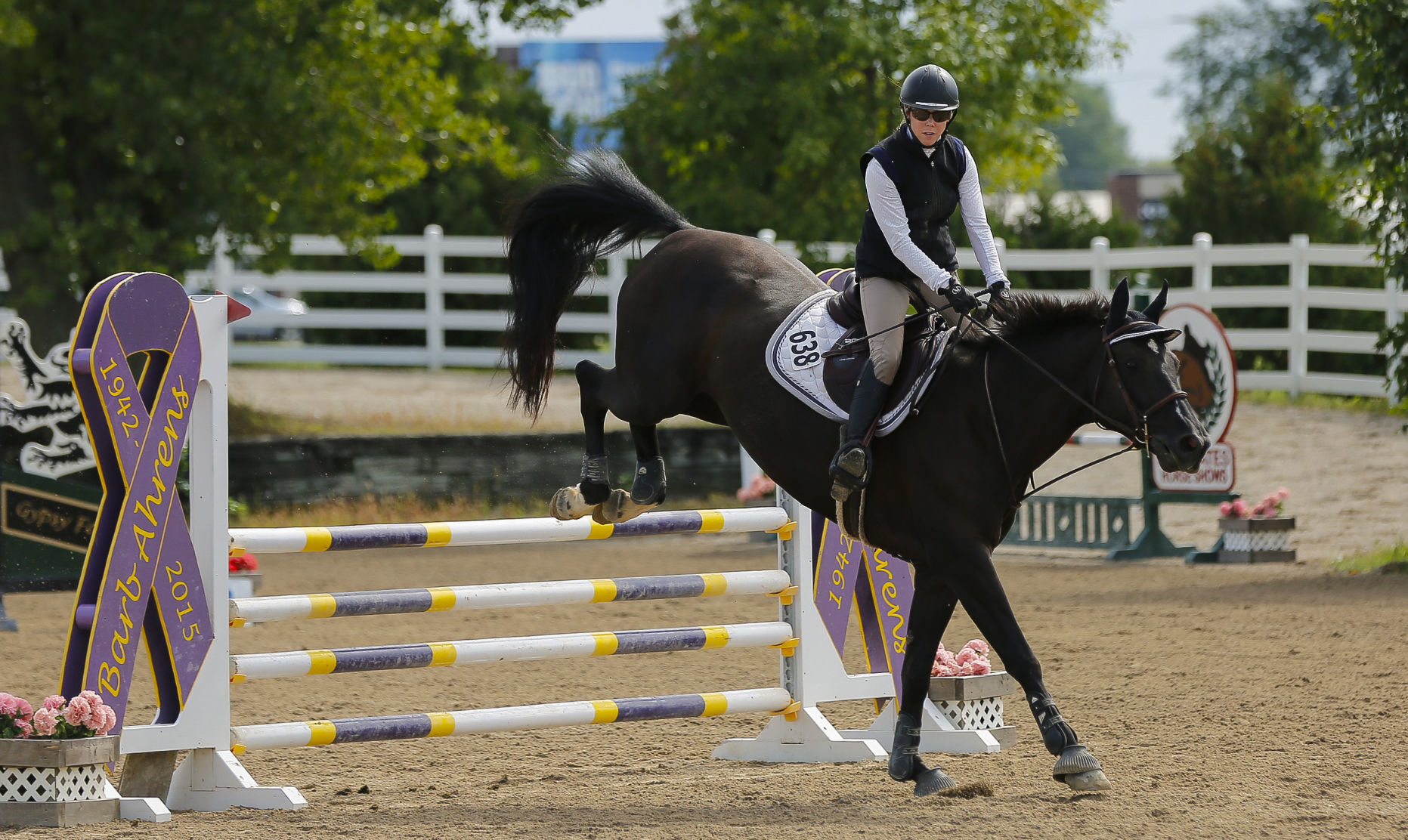 Midstates Horse Show 16